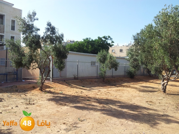 rawdanew523i (2).jpg